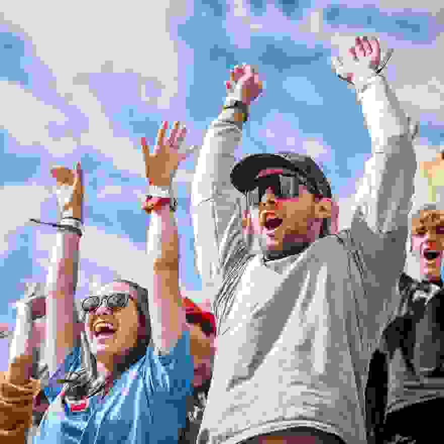 Stimmung Fans, Jubel, Welle, Freude