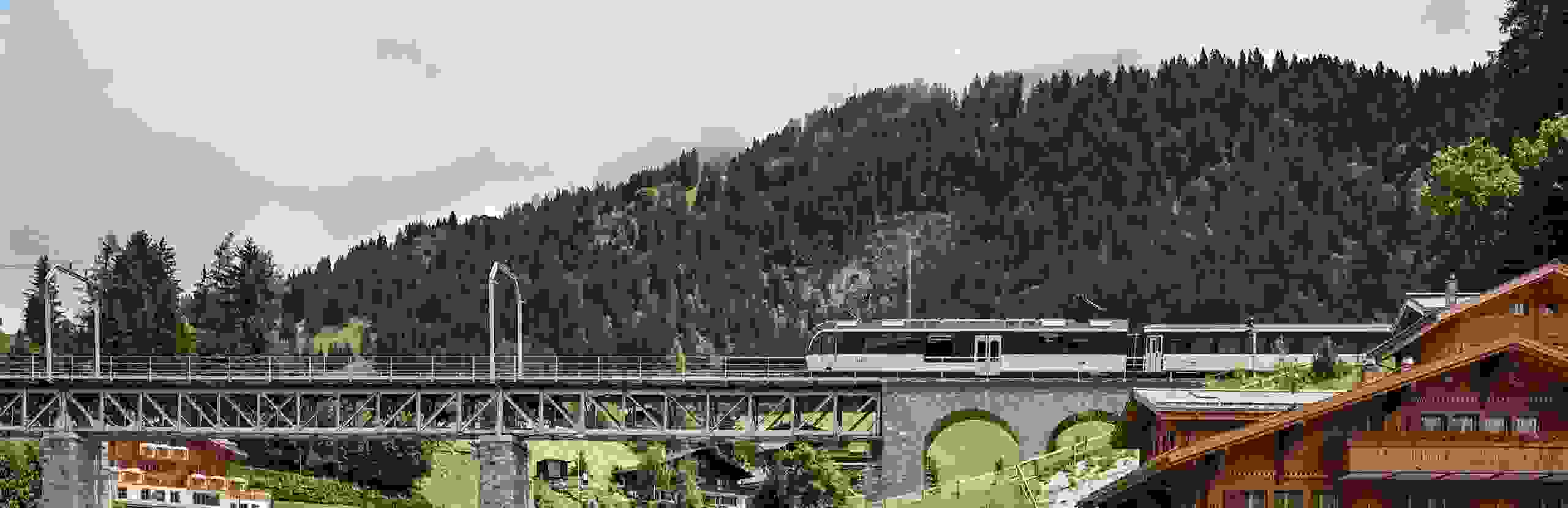 Anreise, Zug, ÖV, Brücke
