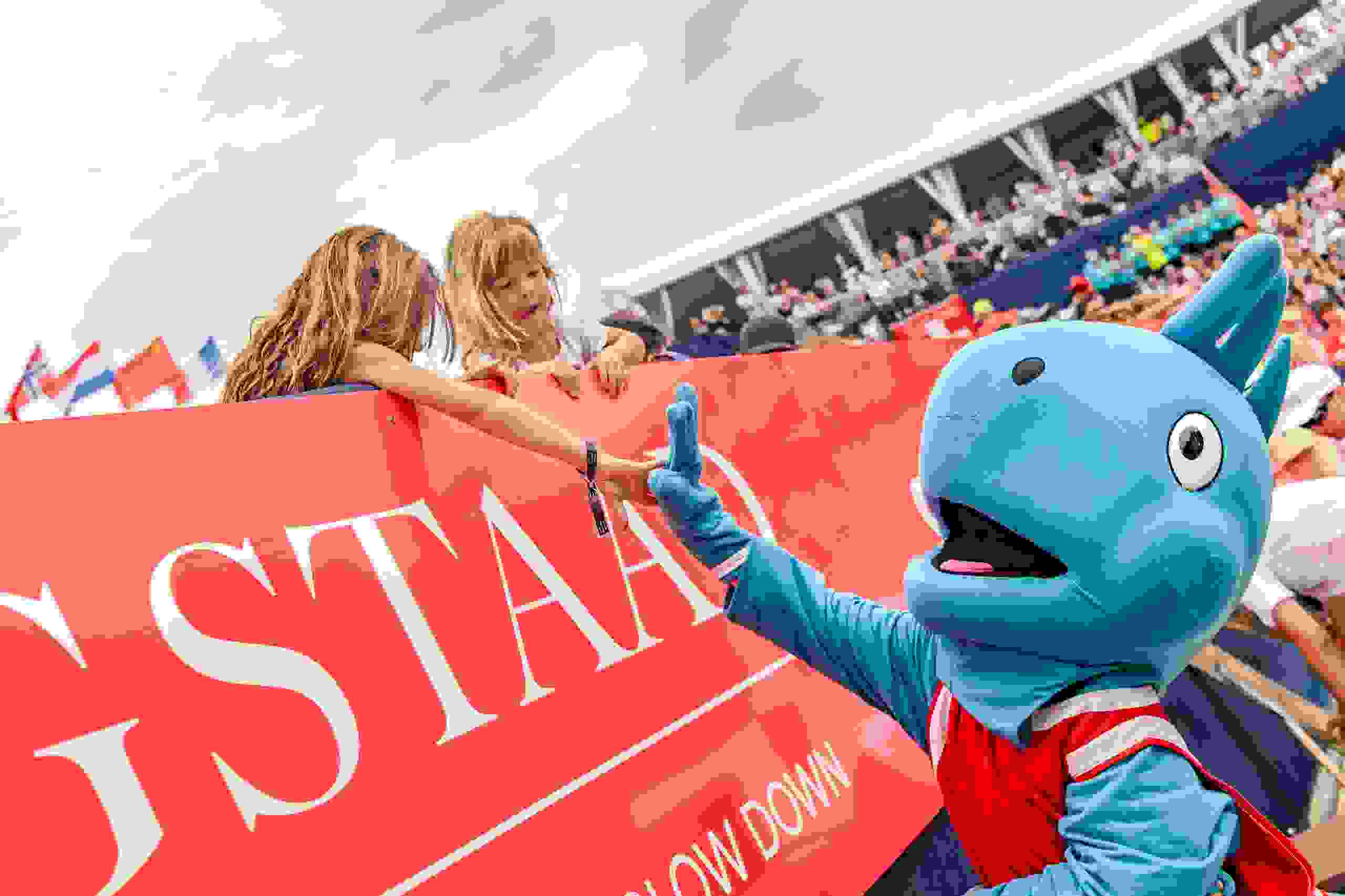 fans atmosphere, joy, mus musculus, cheer, kids