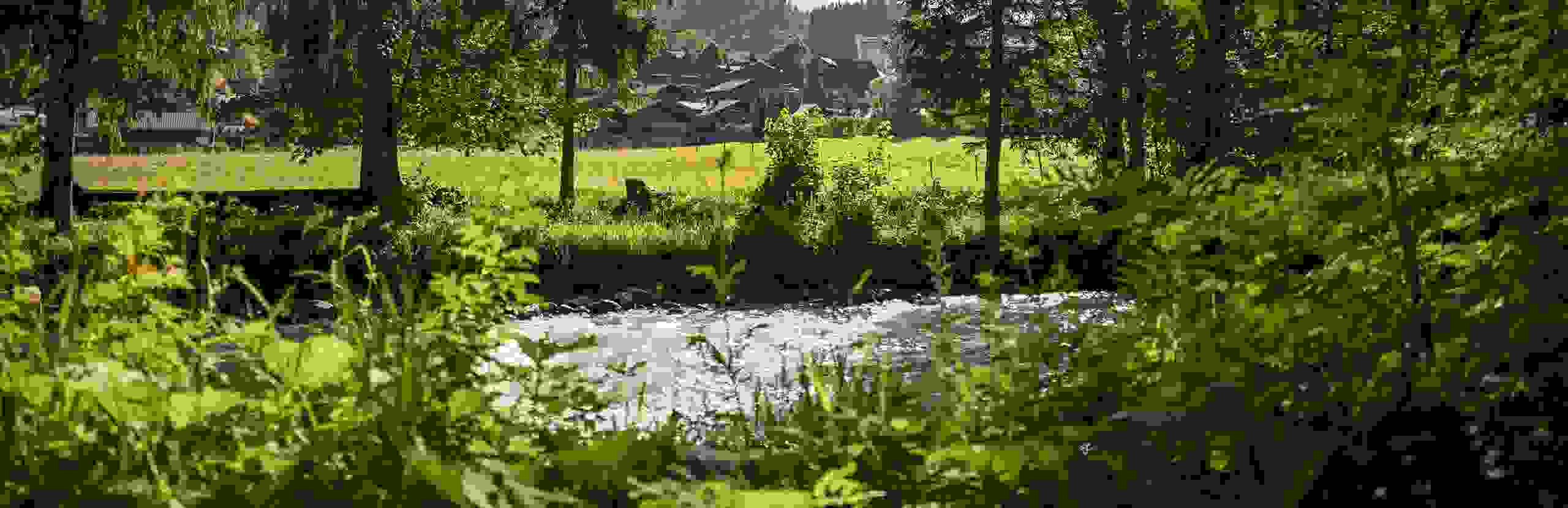 Natur, Gstaad, Bach