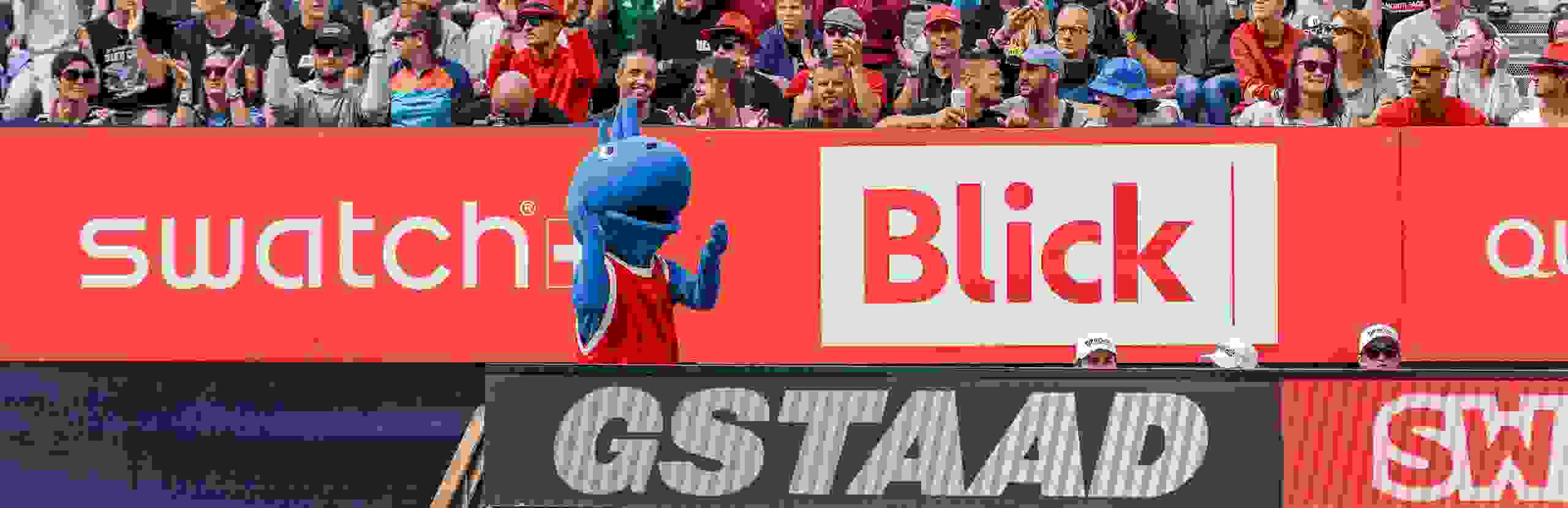 Stimmung Fans. Gstaadion, Mus Musculus