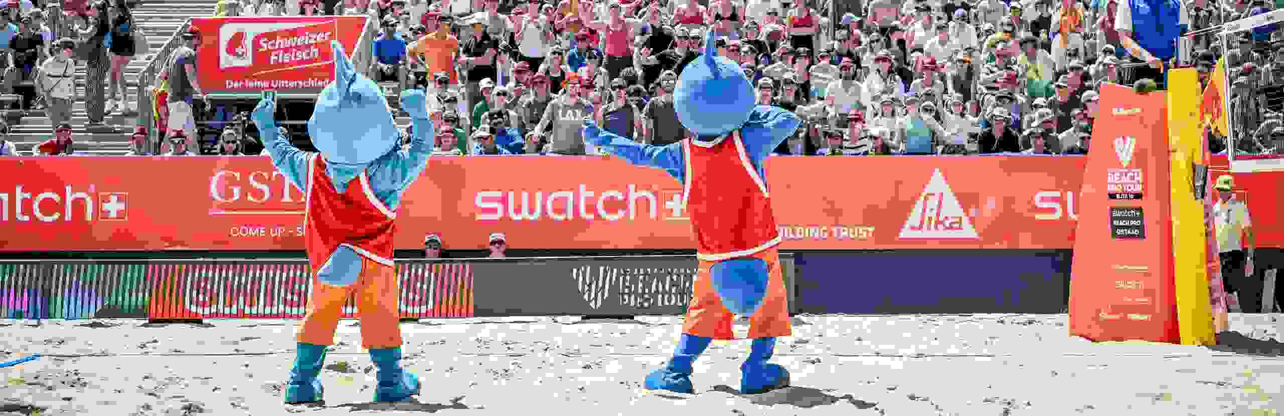 Mus Musculus, Volunteers, Stimmung Fans