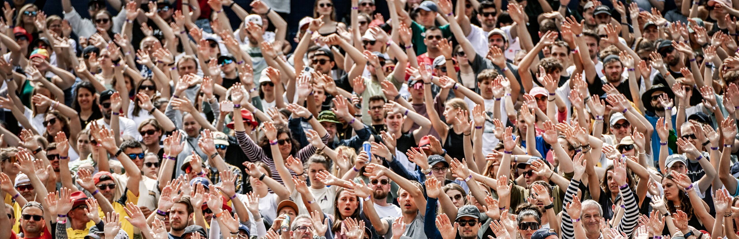 Stimmung Fans, Welle, Links rechts, Freude, Jubel