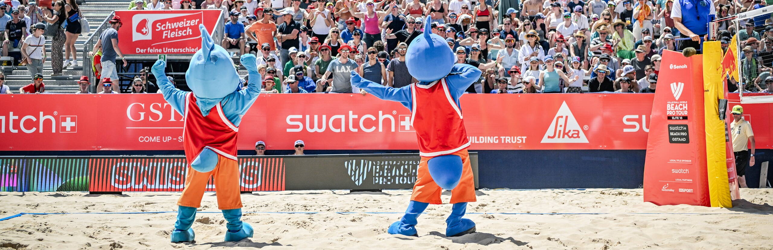 mus musculus, volunteers, cheers, atmosphere, center court