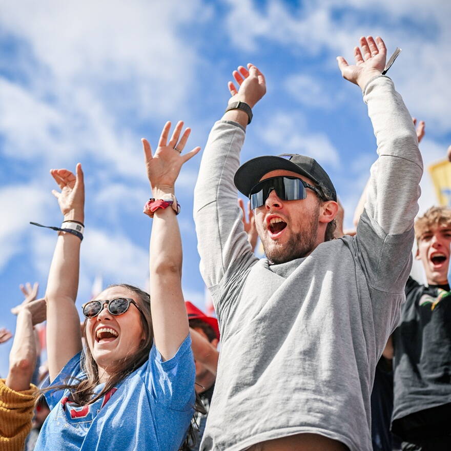 fans atmosphere, joy, la ola, cheer