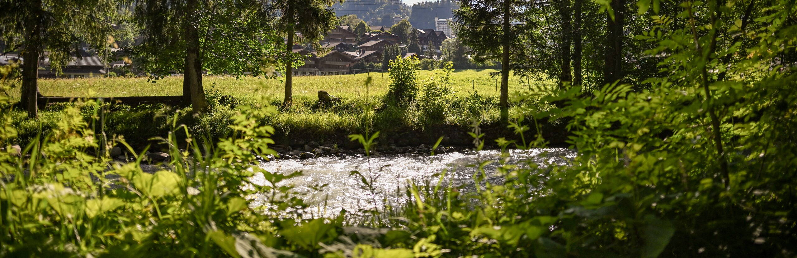 Natur, Gstaad, Bach