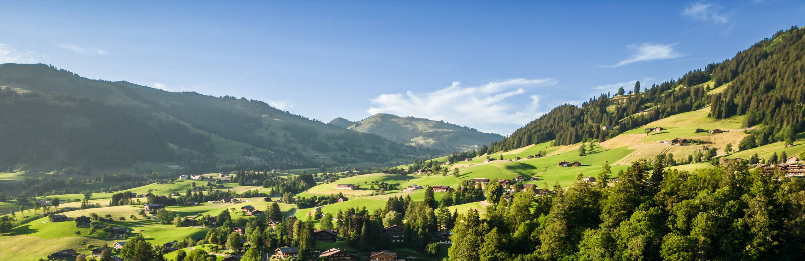 gstaad, atmosphere, nature