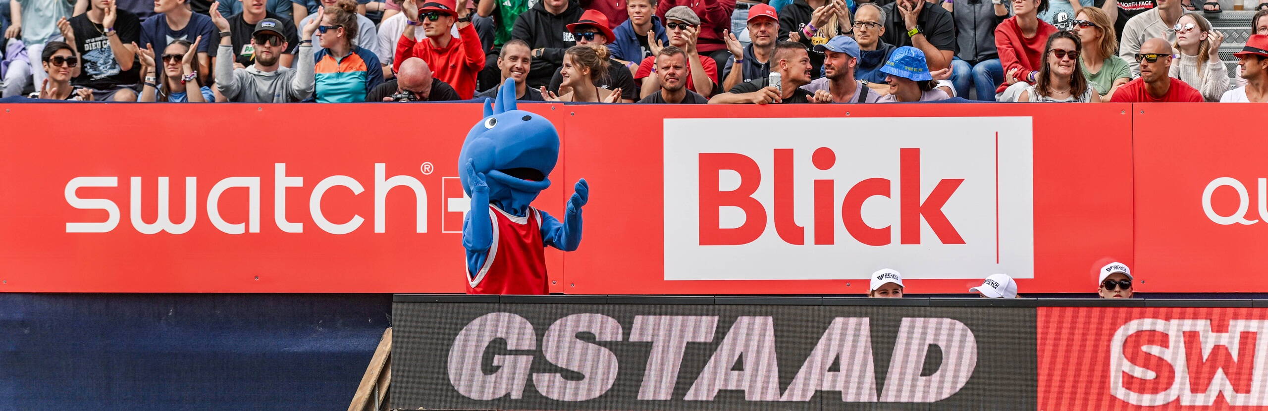 Stimmung Fans. Gstaadion, Mus Musculus